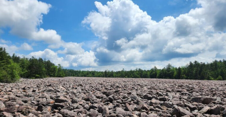9 Scenic Pennsylvania Hikes Under 5 Miles That Impress Every Time
