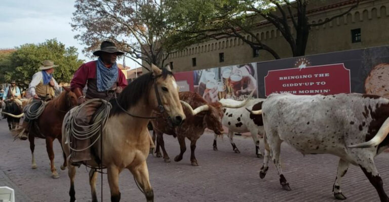 9 Texas Stops People Don’t Take Seriously Until They Actually Visit