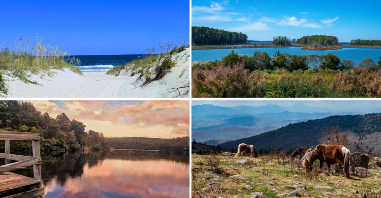 9 Virginia State Parks That Feel Like National Parks—Without the Crowds