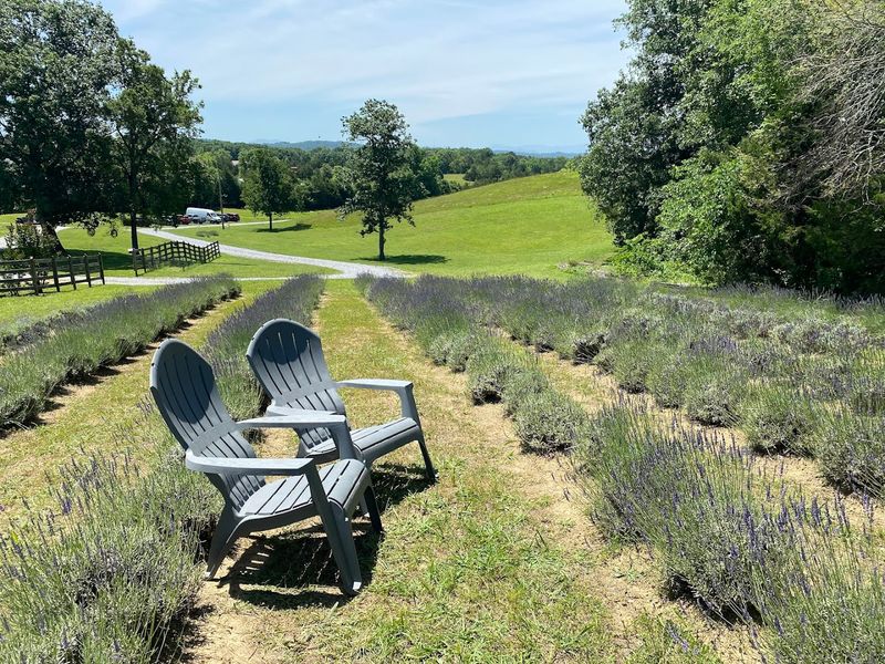 A Peaceful Escape in Bulls Gap's Countryside