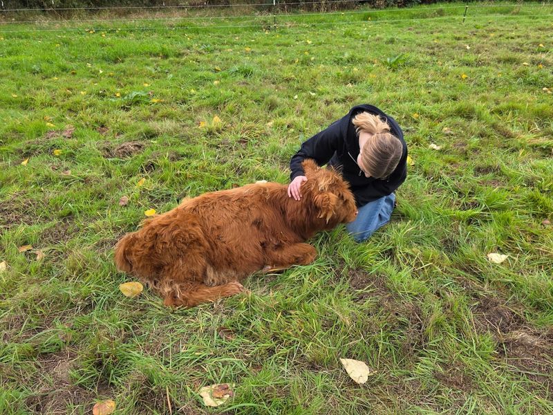 Make It A Mini Day Trip From Seattle