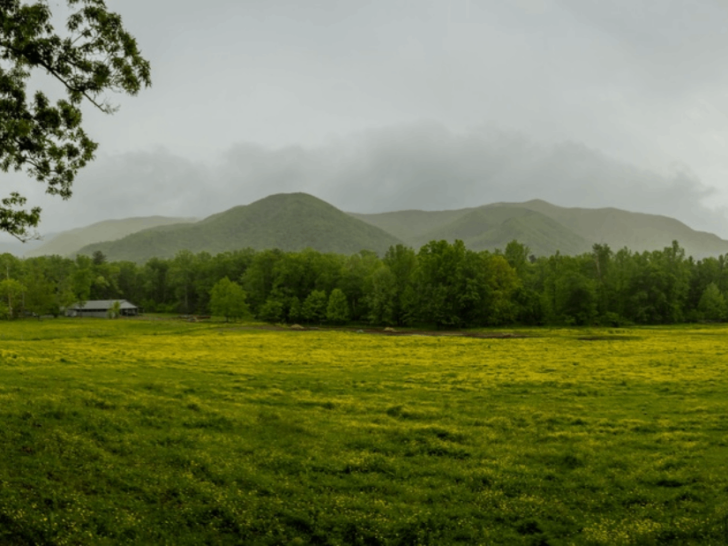 America’s Most-Visited National Park Is in Tennessee—and It Sees More Visitors Than Grand Canyon, Yellowstone, and Yosemite Combined