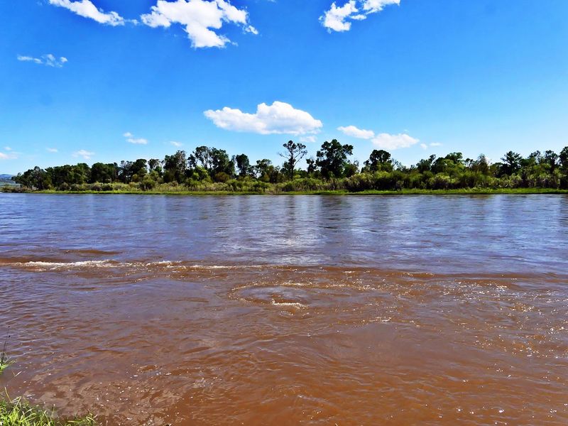 Yorks Islands Campground (Near Troy)
