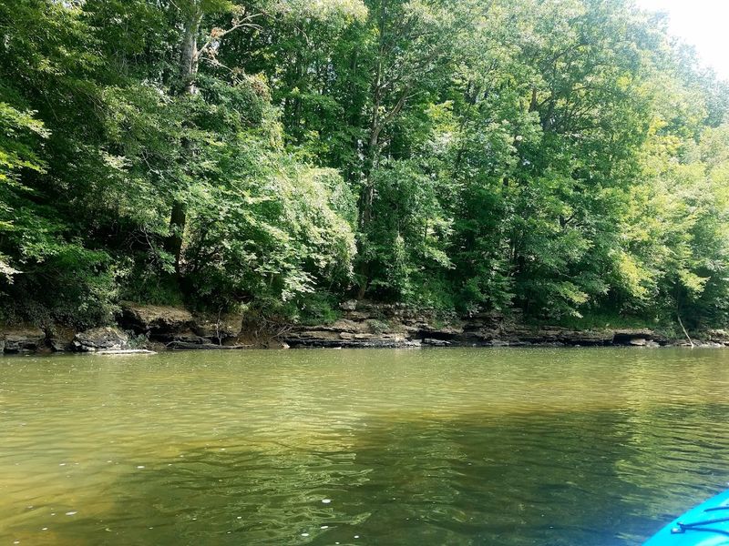 Barren Fork River — McMinnville