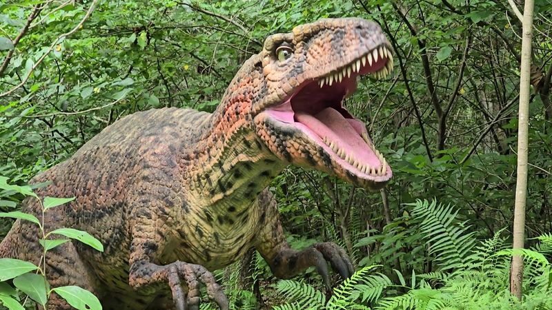 Life-Size Dinosaurs Around The Ranch