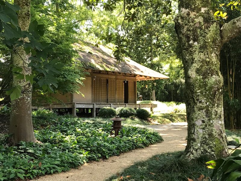 The Little Theater and Stories