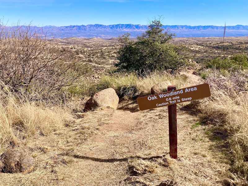 Oracle State Park (Oracle, Arizona)