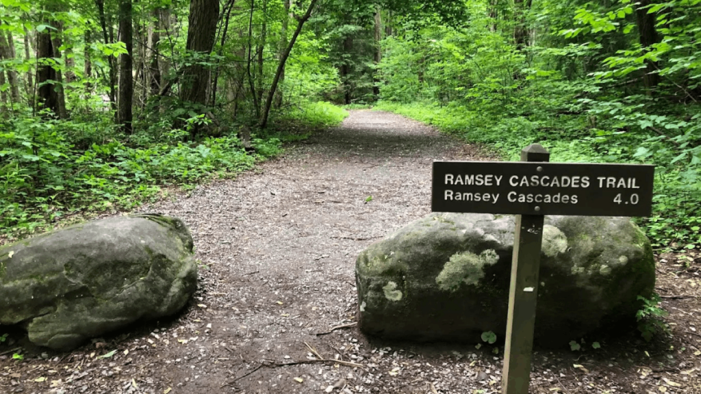 Called One of the Hardest Hikes in Tennessee, This Trail Rewards You With a 100-Foot Waterfall