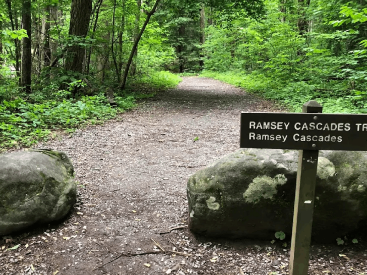 Called One of the Hardest Hikes in Tennessee, This Trail Rewards You With a 100-Foot Waterfall