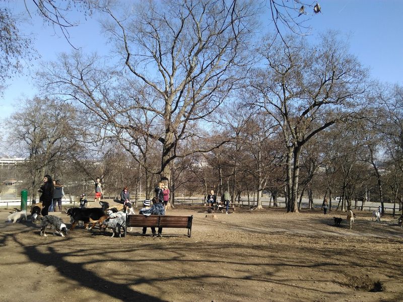 Centennial Dog Park — Nashville