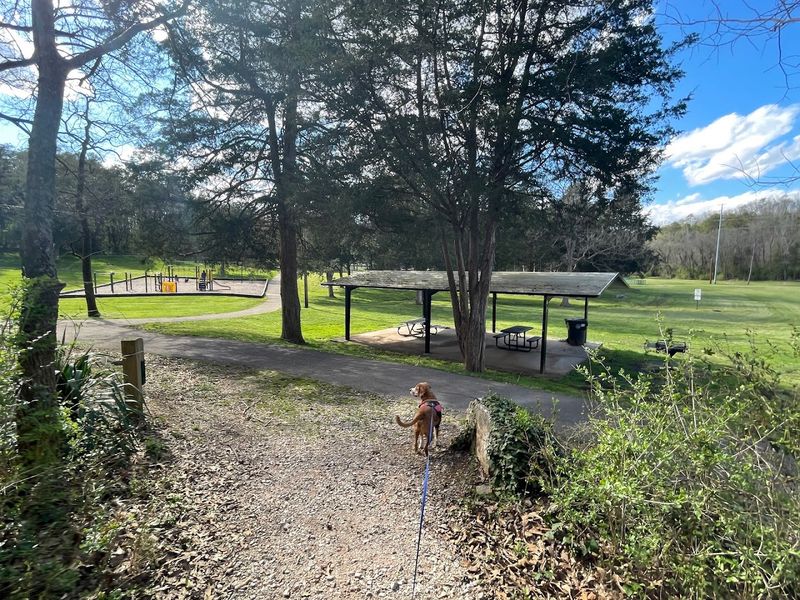 Charter E. Doyle Park — Knoxville