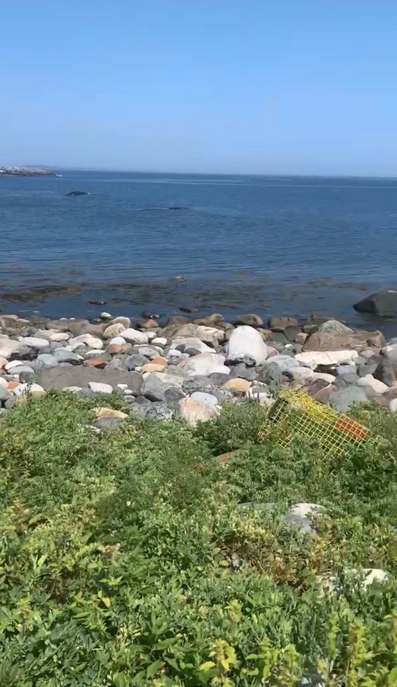 Pebble Beach (Monhegan Island)