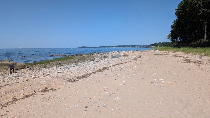 Caumsett State Historic Park Preserve Beach (Lloyd Harbor, Long Island)