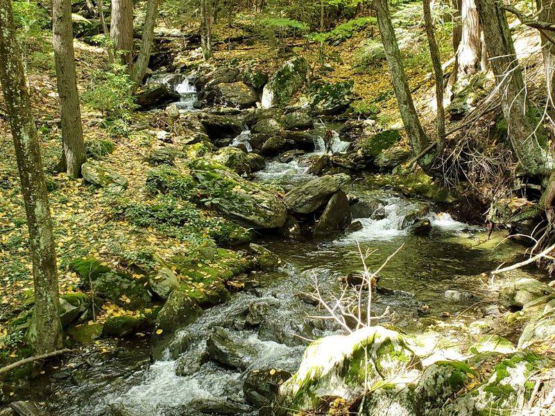 Race Brook Falls Trail (Sheffield)