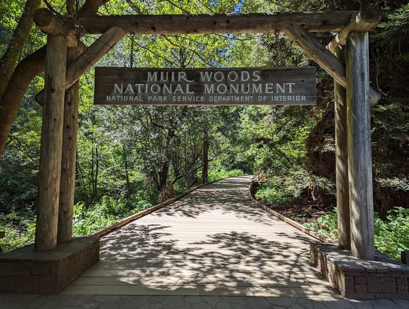 The Entrance Feels Like Stepping Into Another World 