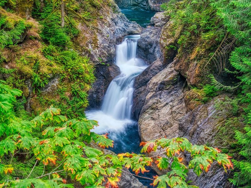 Lower Twin Falls: The Roaring Reveal