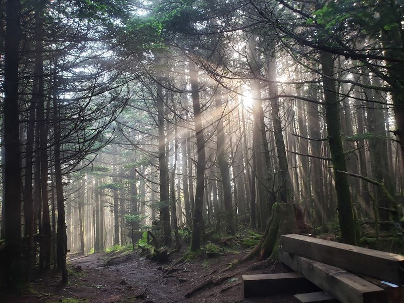 Summit Trail (Mount Mitchell State Park, Burnsville)
