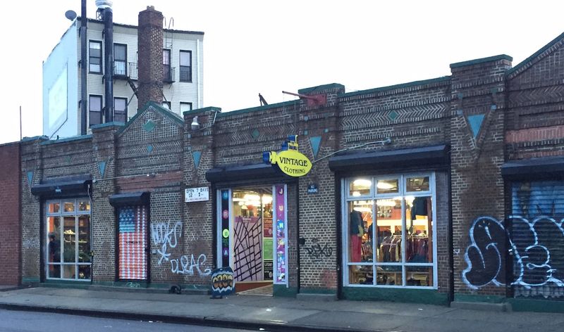 Urban Jungle (Brooklyn, NYC)