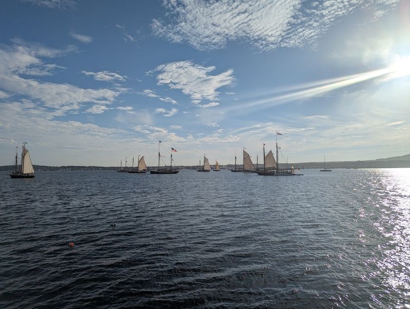 Harbor Drama in Every Direction