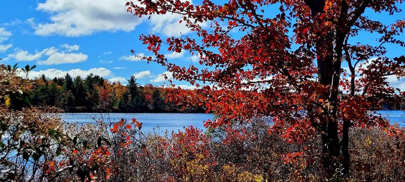 Make Your Photos Count