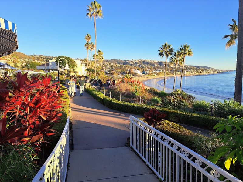 When To Go For The Best View