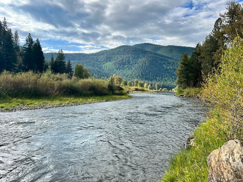 Camping and River Recreation at Beavertail Hill State Park (Clinton)