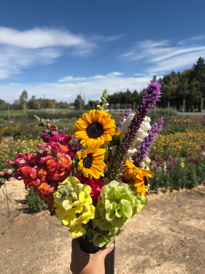 Floyd Farm U-Pick (Ellensburg)