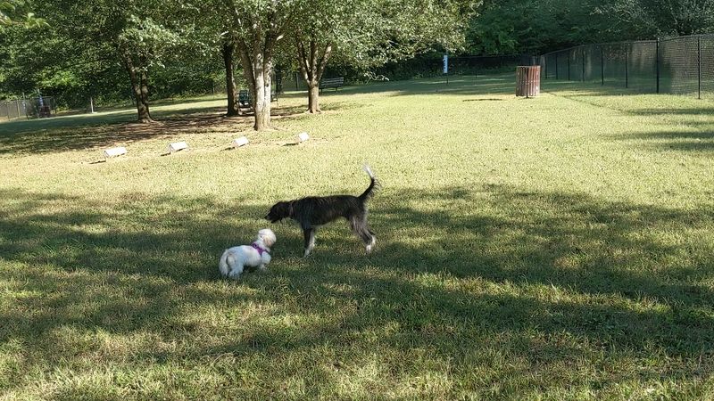 Greenway Farm Dog Park — Hixson