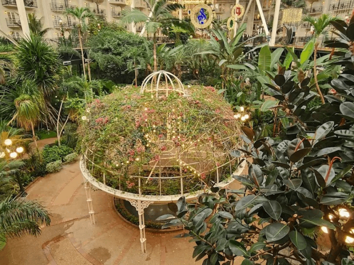 Home to 50,000 Tropical Plants, This Tennessee Conservatory Is One of the State's Most Impressive Garden Experiences