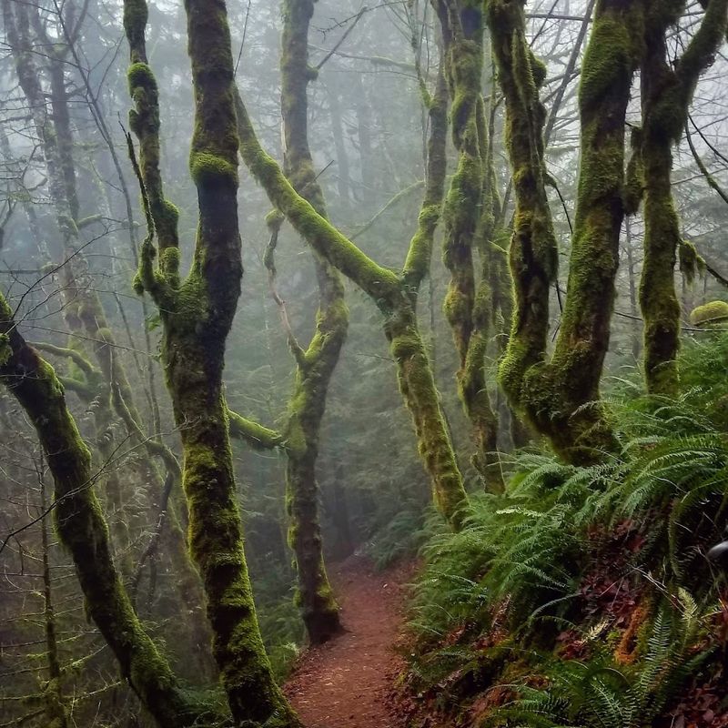 Safety, Etiquette, And Trail Confidence