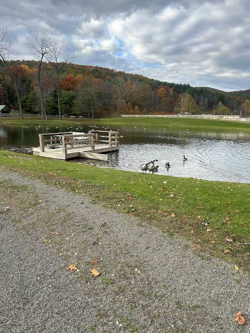 Picnic Pavilions and Easy Lunches