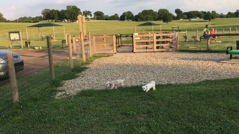 K-9 Korral Dog Park — Franklin