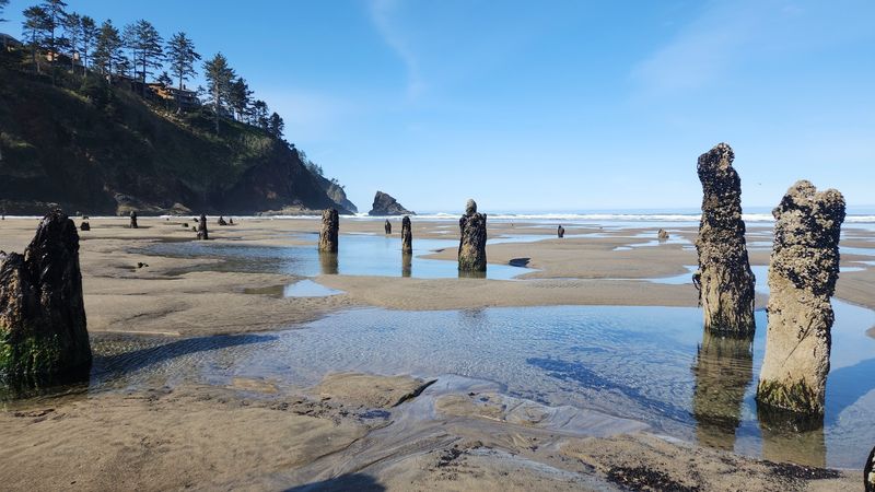 Neskowin