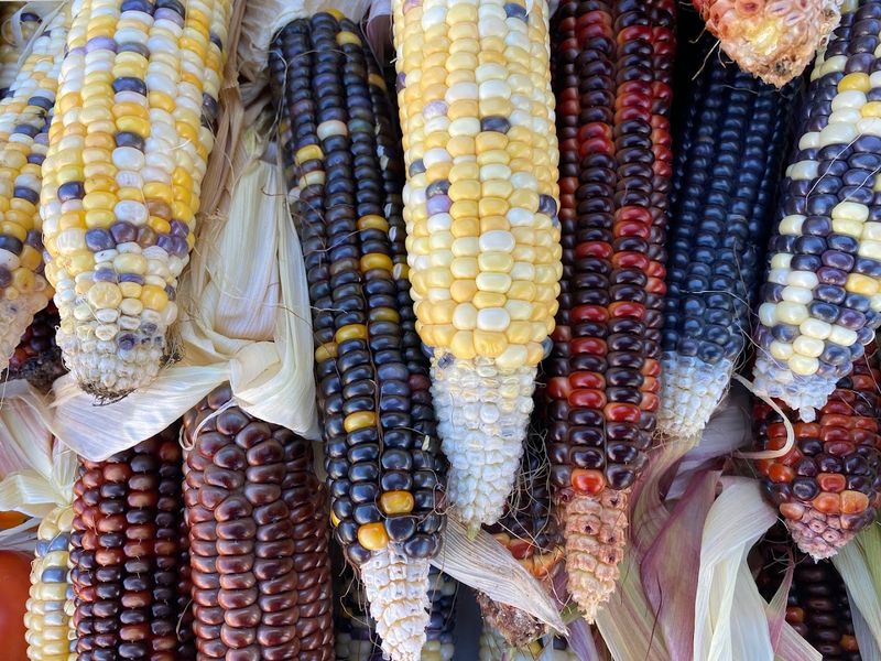 The Colorful Corn, Fresh Bakes, and Everyday Essentials That Steal Attention