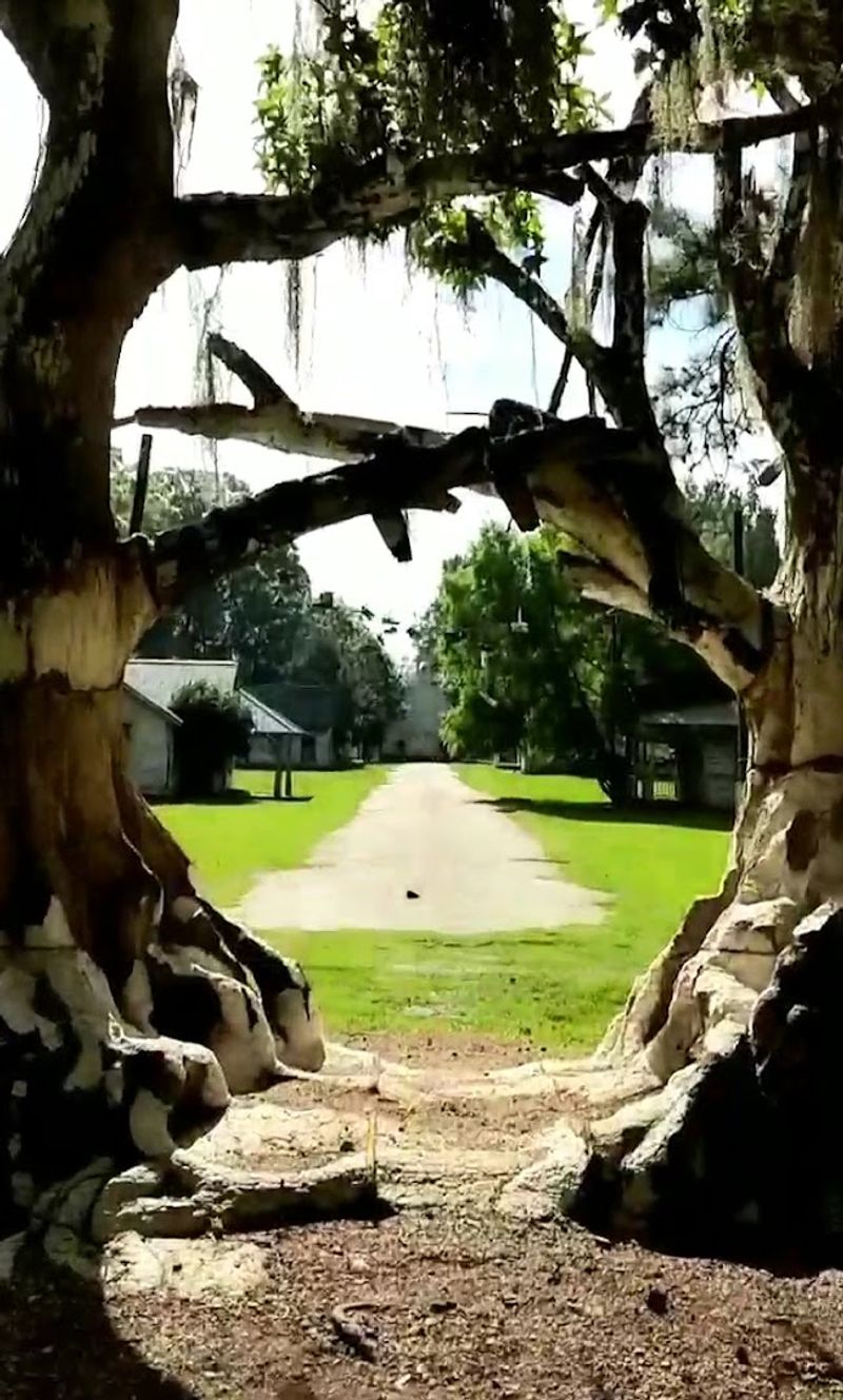 Town of Spectre (Millbrook)