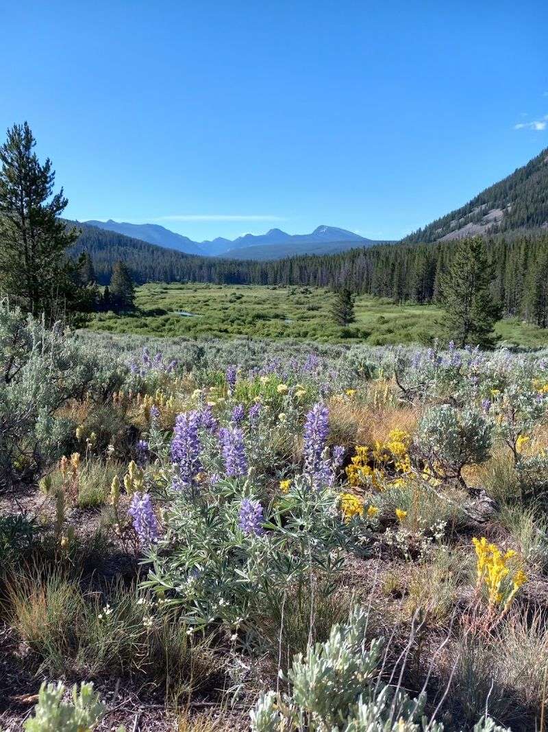 Pioneer Mountains Scenic Byway (Southwest Montana)