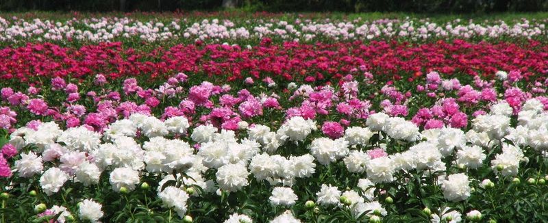 Insider Tips for a Smooth Visit