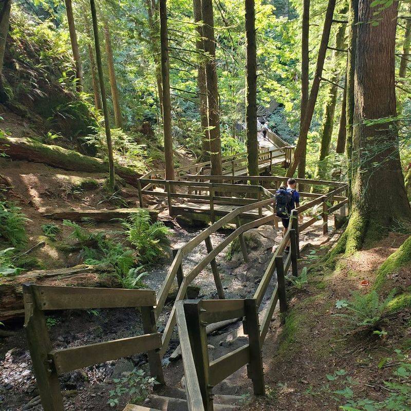 Getting There And Parking Like A Pro