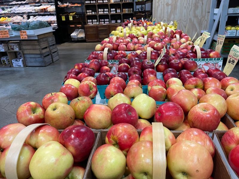 Orchard Afternoons And Farm Stands