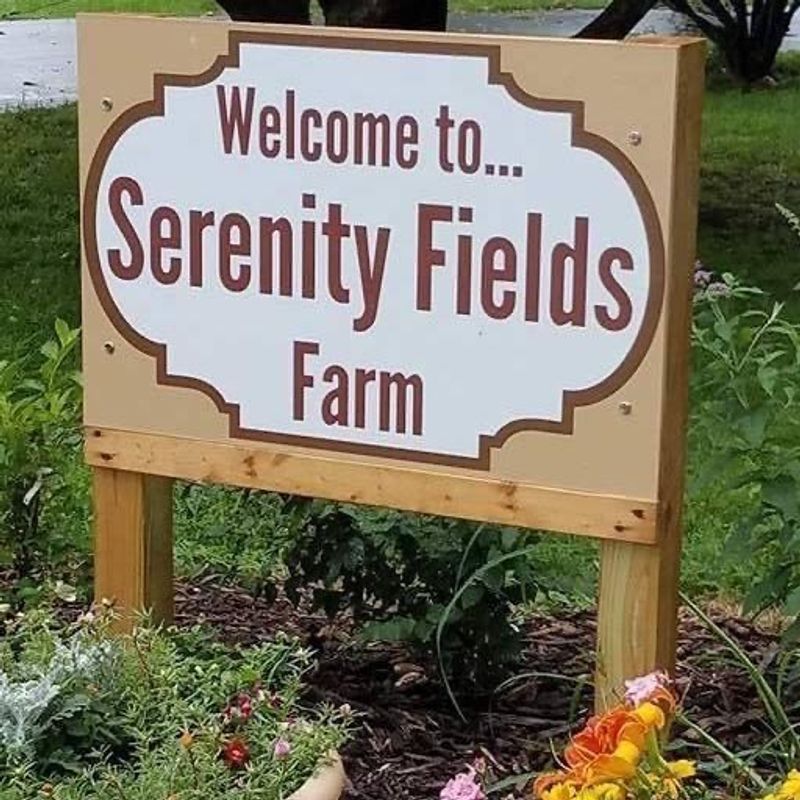 Serenity Hill Flower Farm (Harvard)