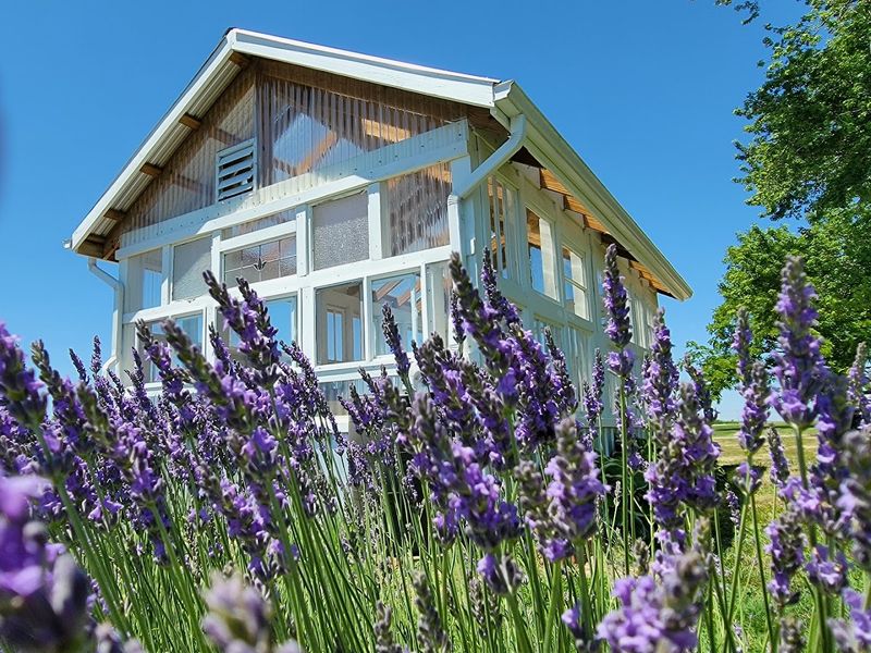 Tenderloin Farms (Edwardsville)