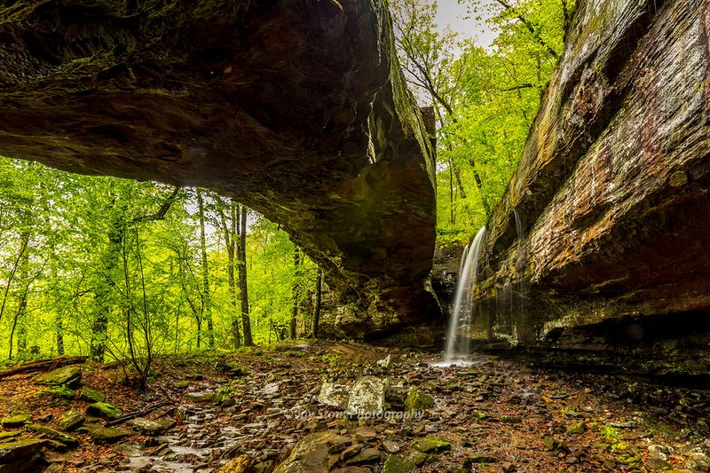 Alum Cove Natural Bridge Trail