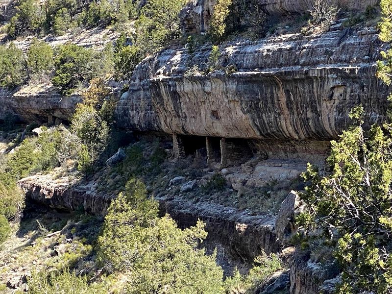 Photography: Light, Angles, and What Not to Disturb