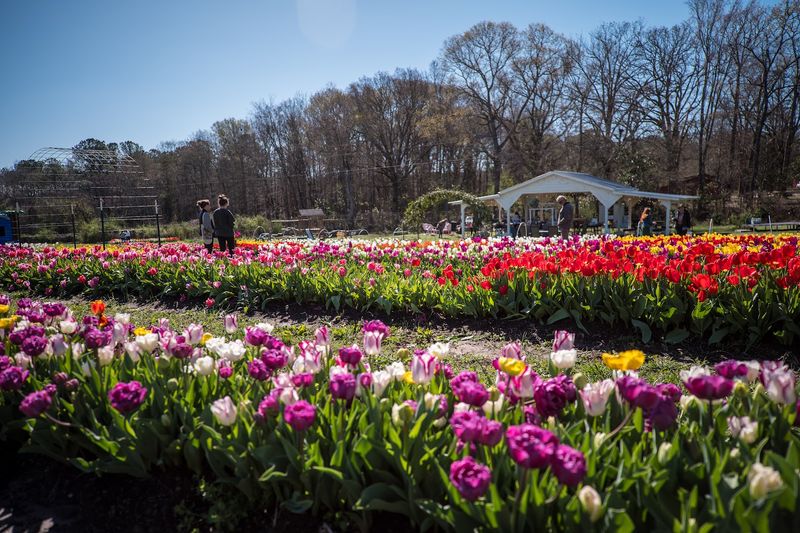 When to Visit and How to Plan the Perfect Day