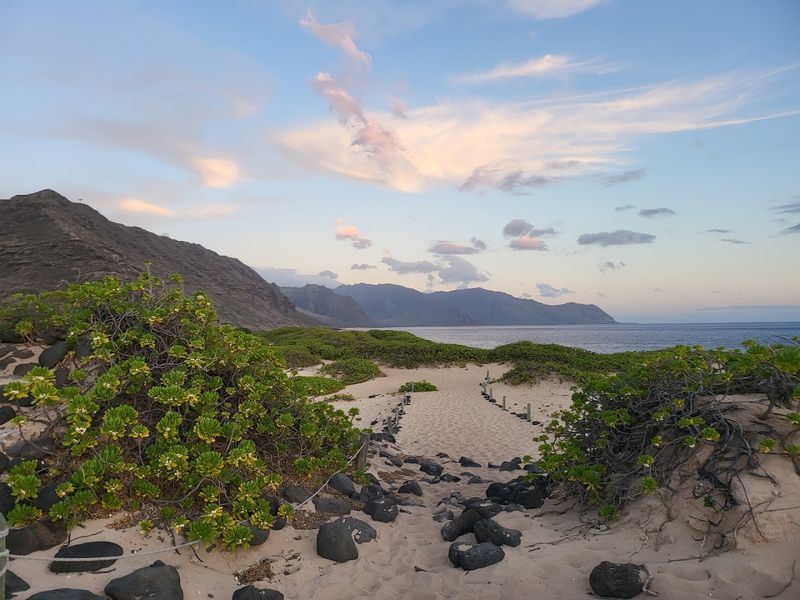 Timing, Light, and Knowing When to Go