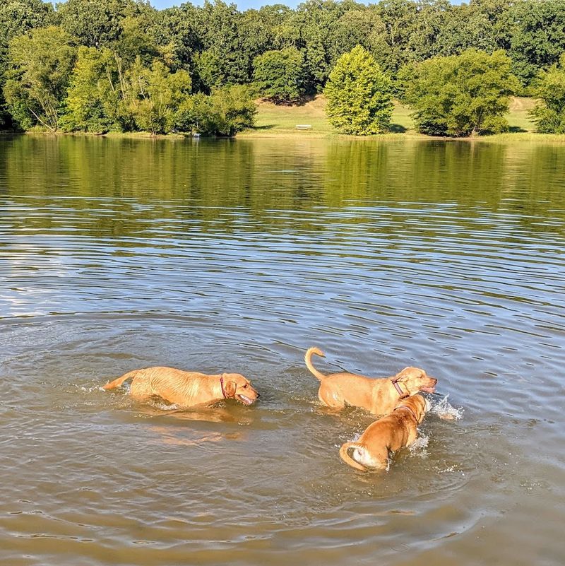 Shelby Farms Park — Memphis