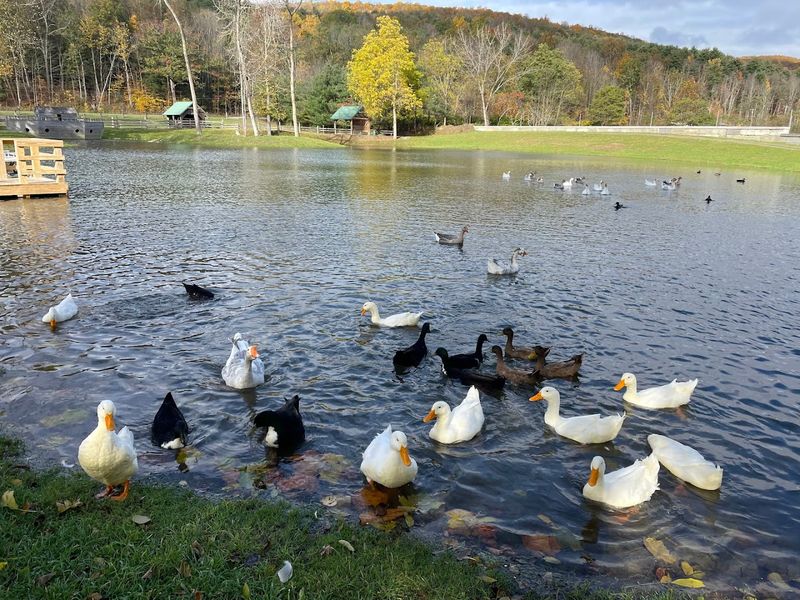 Quiet Corners and Creekside Strolls