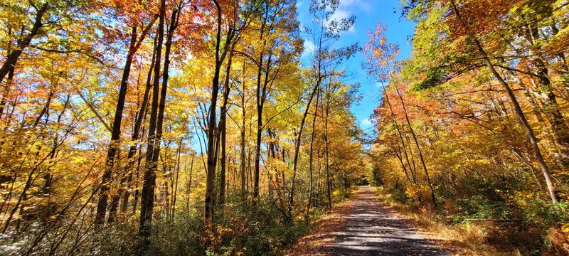 Timing, Weather, And Crowd Strategy