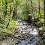 Tennessee’s Overlooked Mountain Escape Has Epic Views Without the Crowds