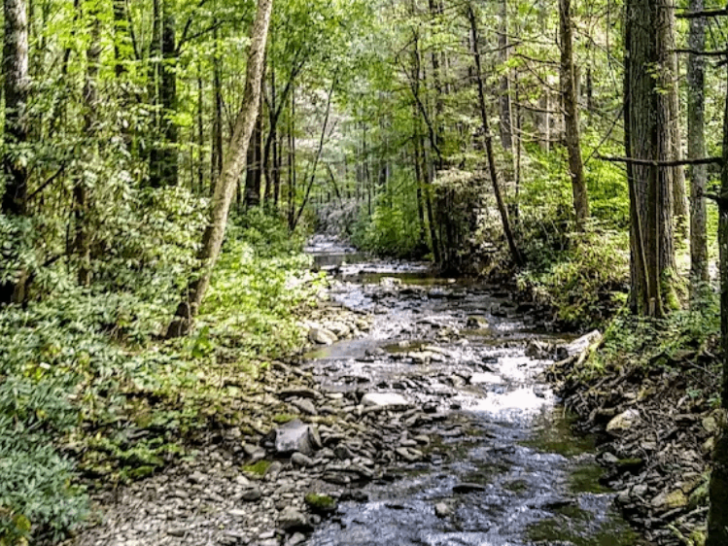 Tennessee's Overlooked Mountain Escape Has Epic Views Without the Crowds